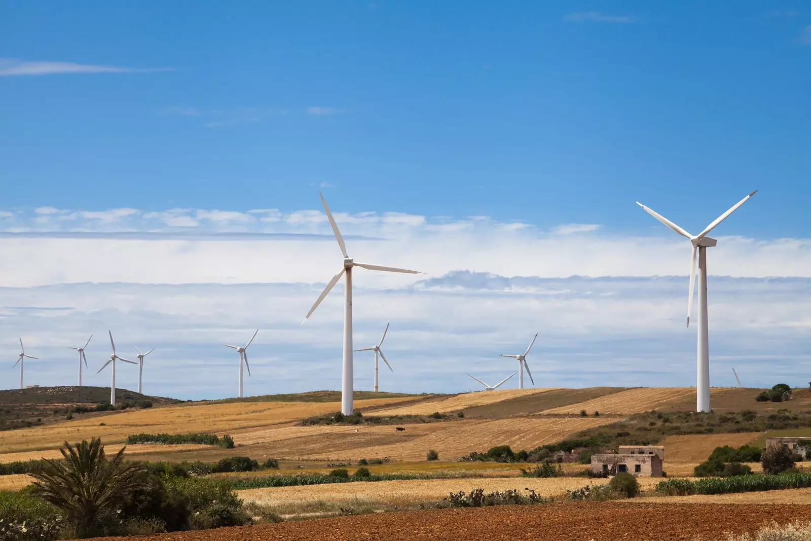 How Africa could become a global hydrogen powerhouse
