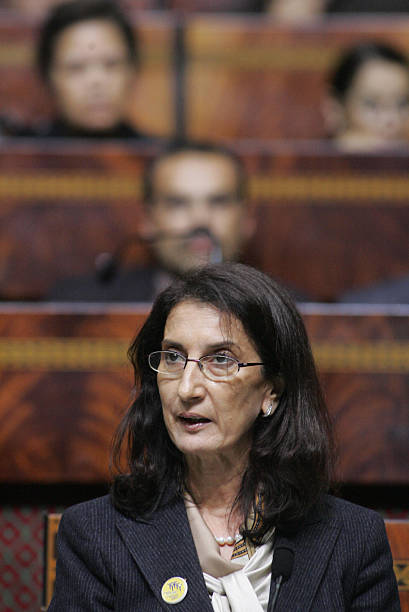 Moroccan-Nigerian gas pipeline project to positively affect more than 340 million people.